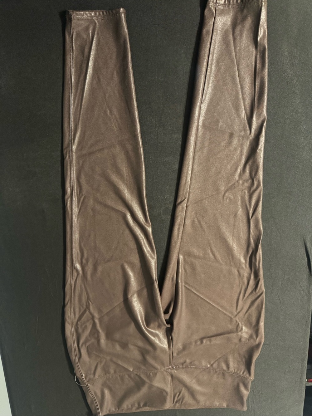 Time and Tru Faux Leather Leggings in Brown